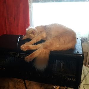 Meet your Posher, Mark